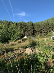 Permaculture garden and glamping retreat accomodaton