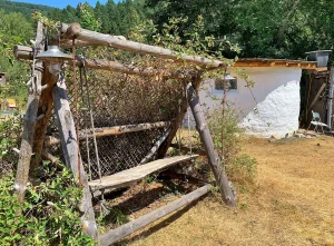 Wooden homemade swing in the garden and guest kitchen